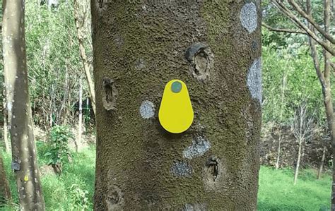 Rfid Tree Tracking System 